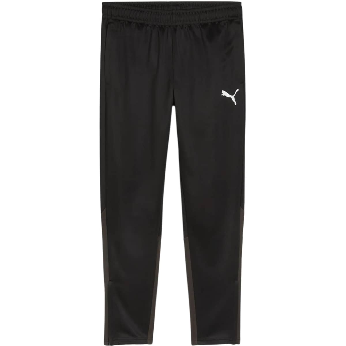 PUMA teamGOAL Træningsbukser Herre