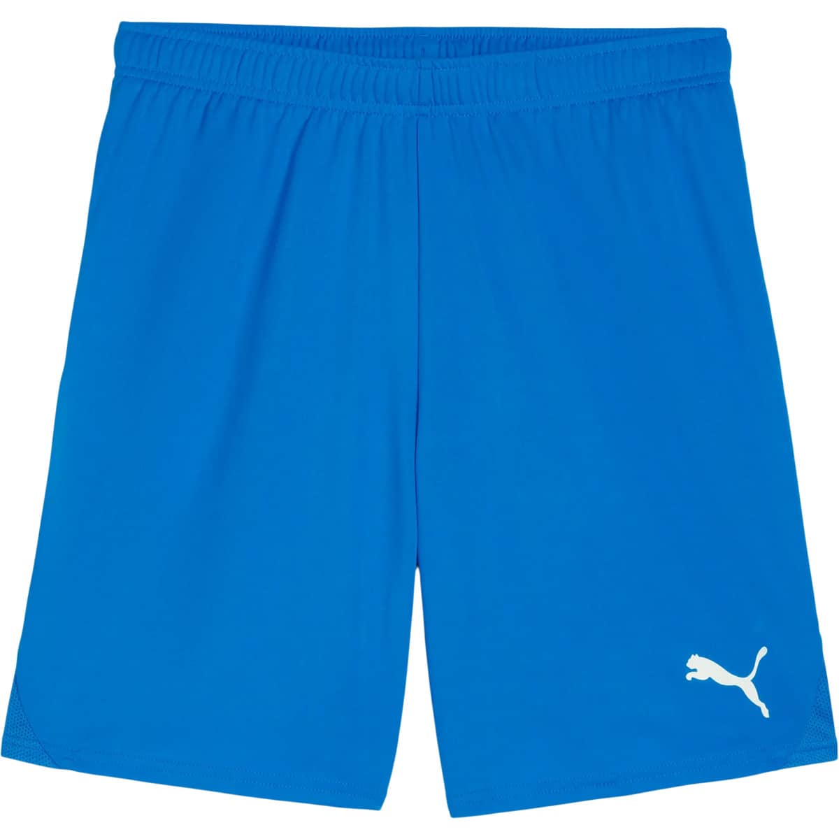 PUMA teamGOAL Træningsshorts Herre