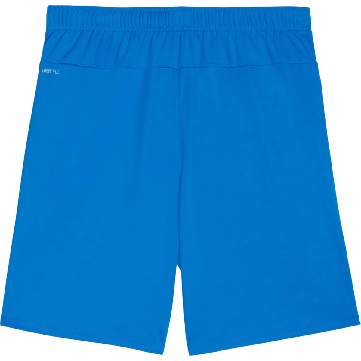 PUMA teamGOAL Træningsshorts Herre