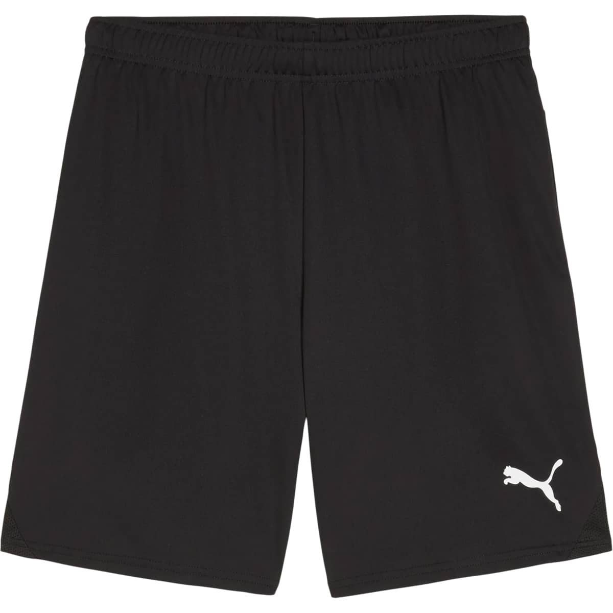 PUMA teamGOAL Træningsshorts Herre