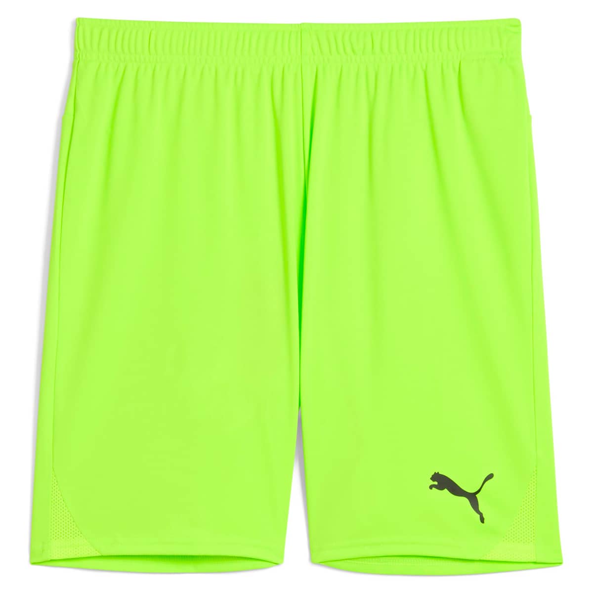 PUMA teamGOAL Træningsshorts Herre