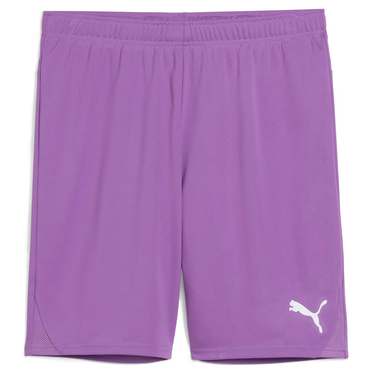 PUMA teamGOAL Træningsshorts Herre