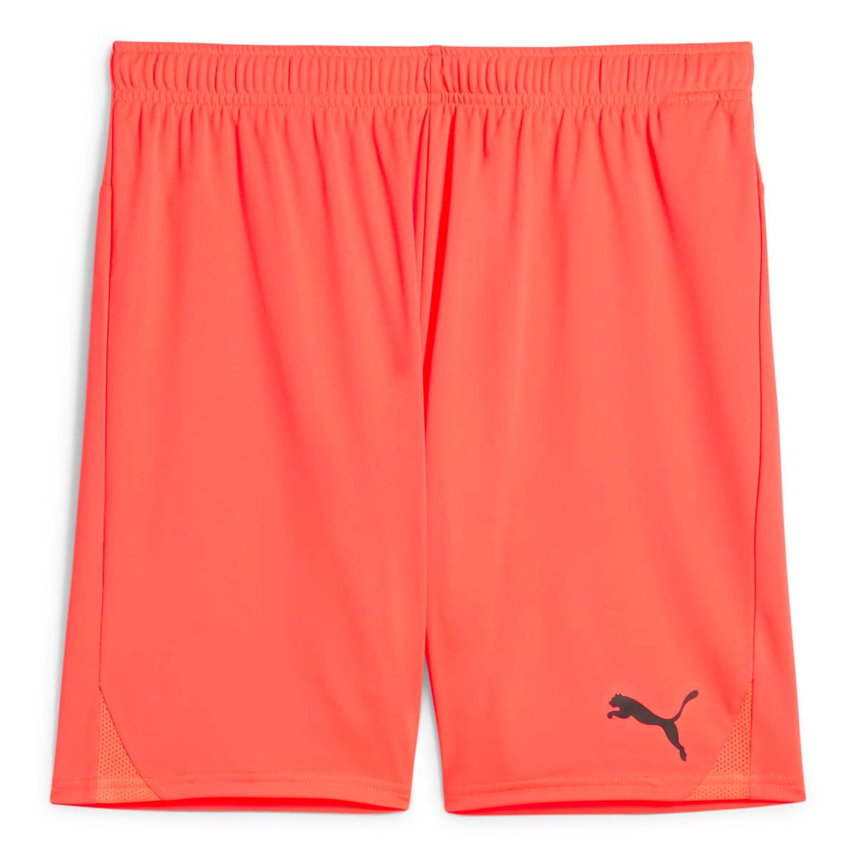 PUMA teamGOAL Træningsshorts Herre