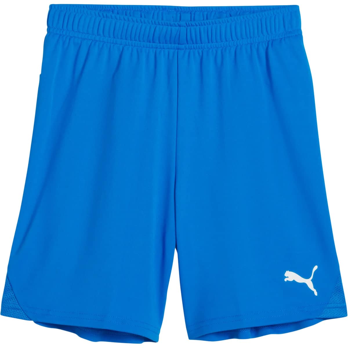 PUMA teamGOAL Træningsshorts Børn 