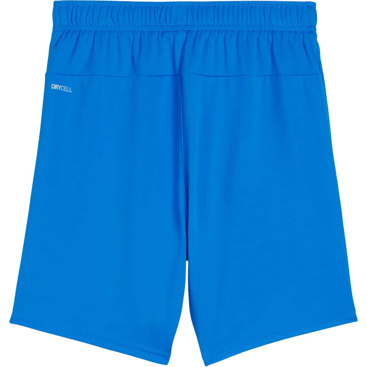PUMA teamGOAL Træningsshorts Børn 