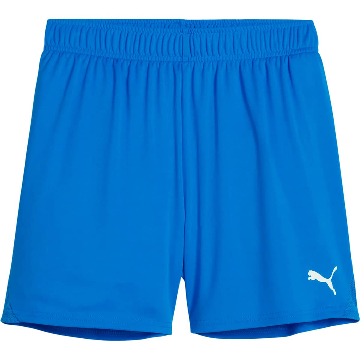 PUMA teamGOAL Træningsshorts Dame