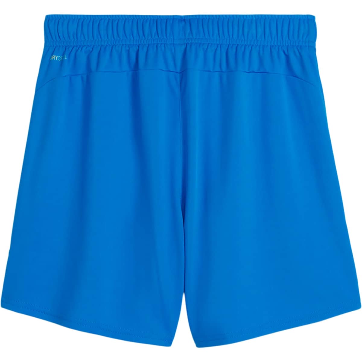 PUMA teamGOAL Træningsshorts Dame