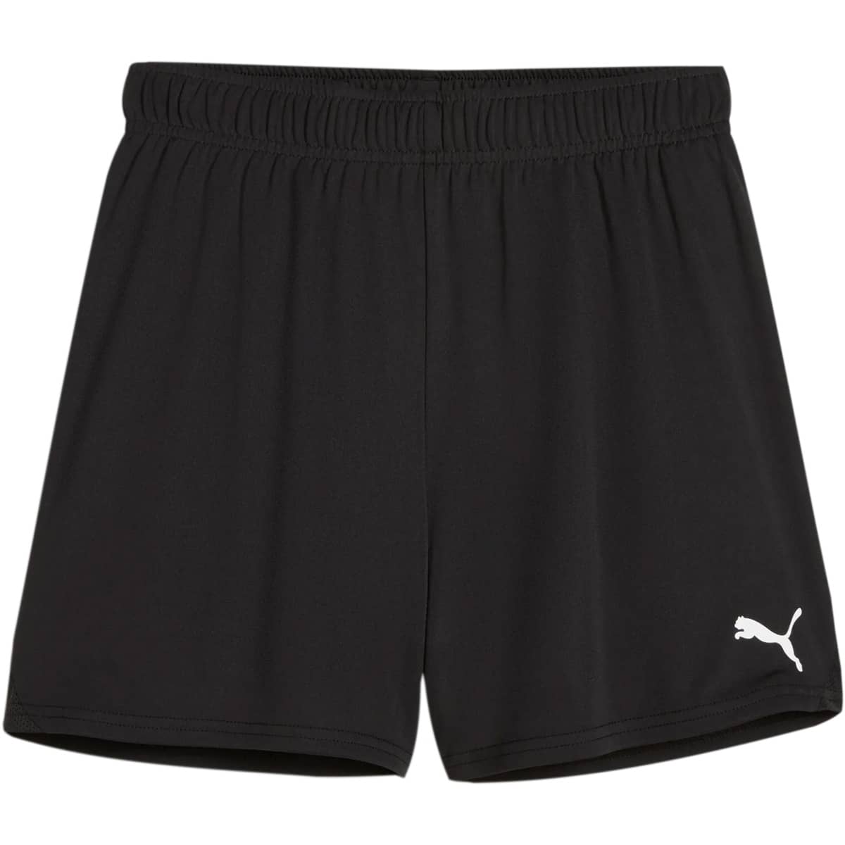 PUMA teamGOAL Træningsshorts Dame