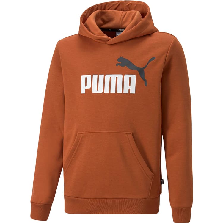 Puma Essential 2 Color Big Logo Hættetrøje Børn
