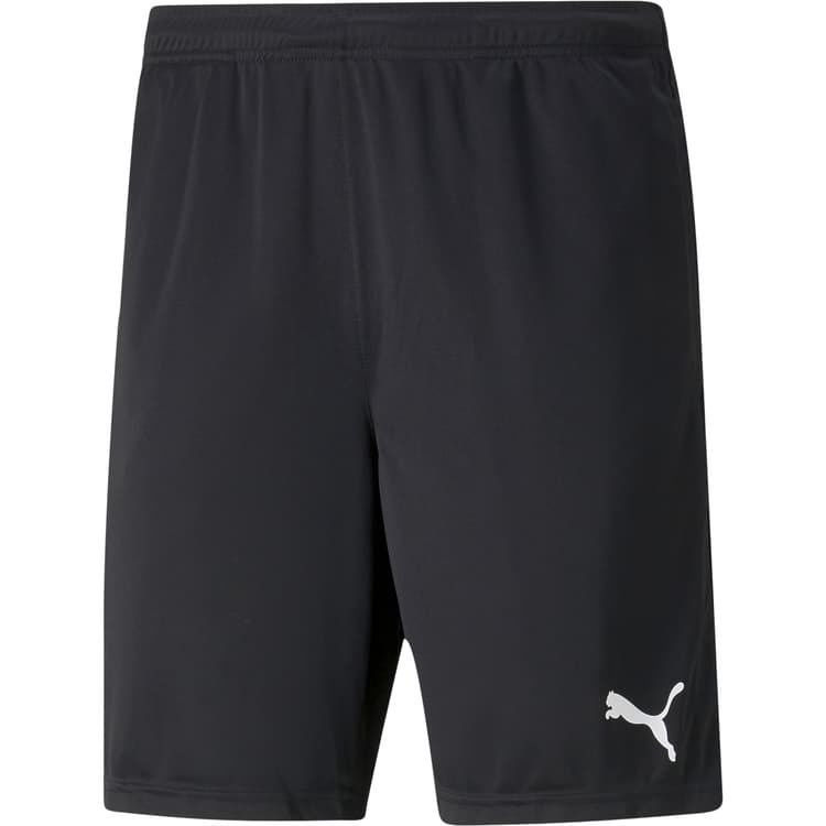 Puma IndividualRISE Træningsshorts Herre