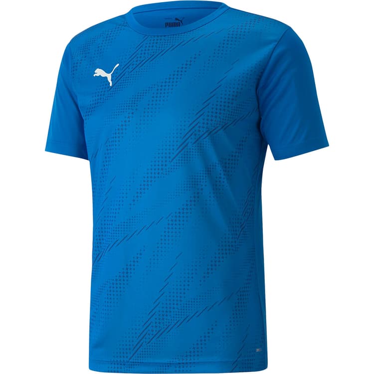 Puma IndividualRISE Graphic Trænings T-shirt Herre