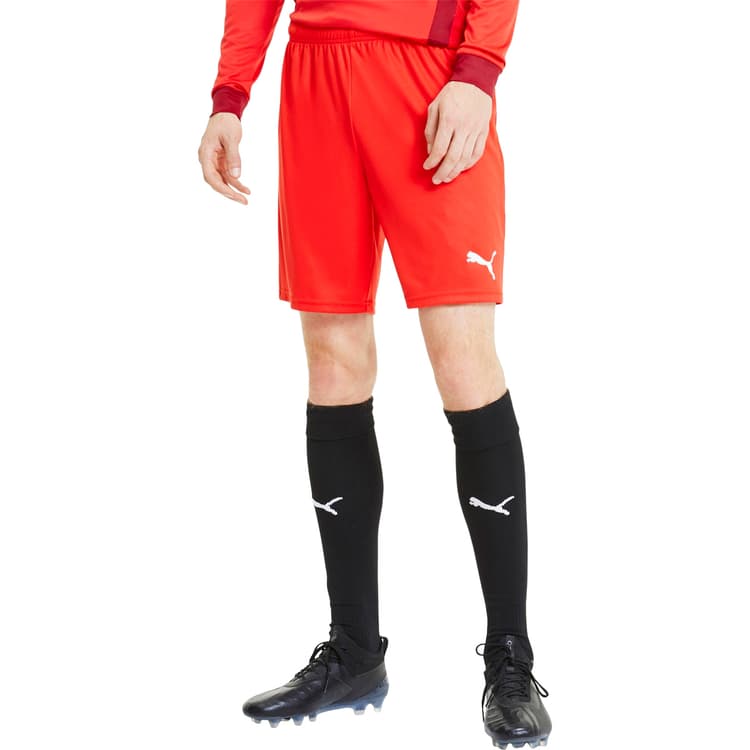 Puma teamGOAL 23 Knit Træningsshorts Herre