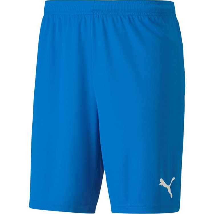 Puma teamGOAL 23 Knit Træningsshorts Herre