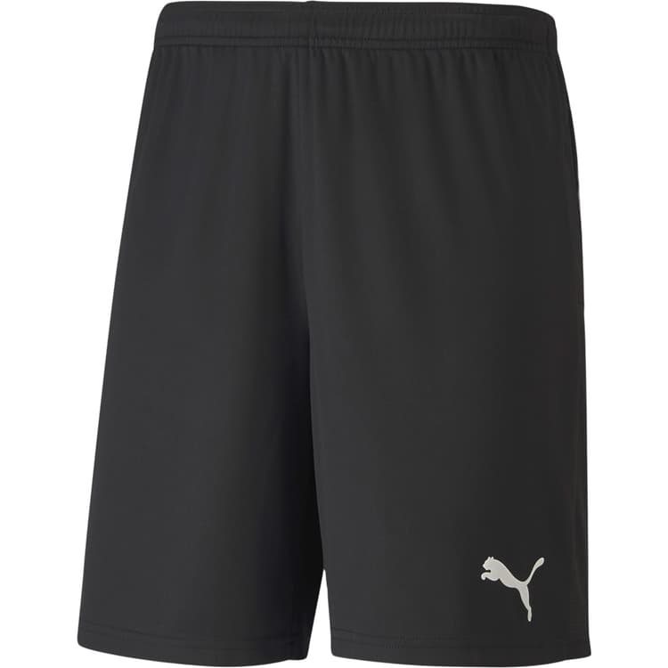 Puma teamGOAL 23 Knit Træningsshorts Herre