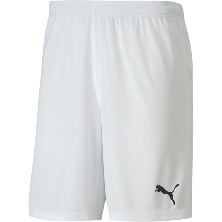 Puma teamGOAL 23 Knit Træningsshorts Herre