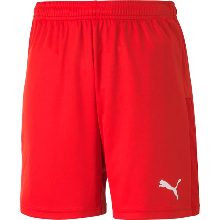 Puma teamGOAL 23 Knit Træningsshorts Børn