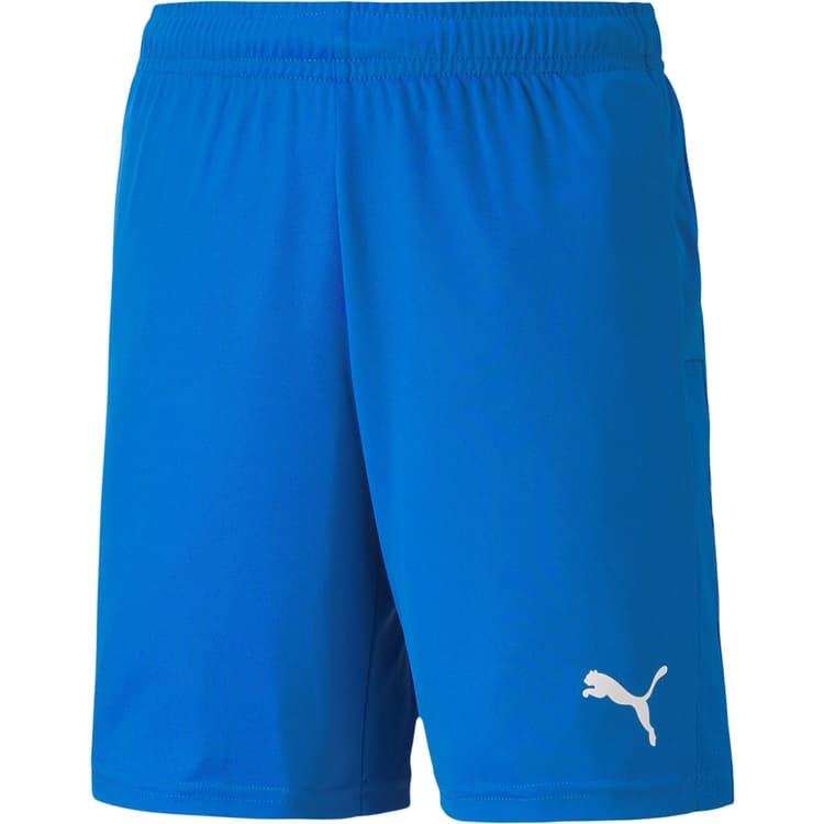 Puma teamGOAL 23 Knit Træningsshorts Børn