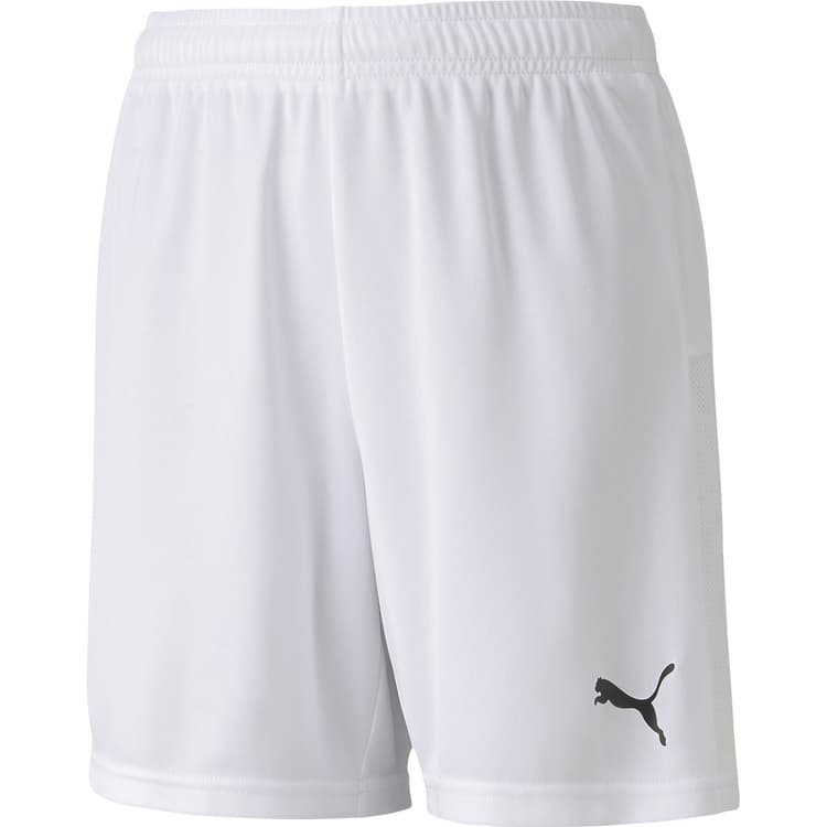 Puma teamGOAL 23 Knit Træningsshorts Børn