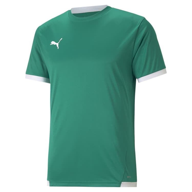 Puma teamLIGA Trænings T-shirt Herre