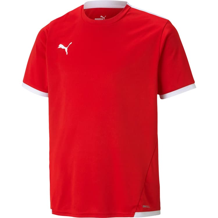 Puma teamLIGA Trænings T-shirt Herre