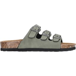 Deep Lichen Green