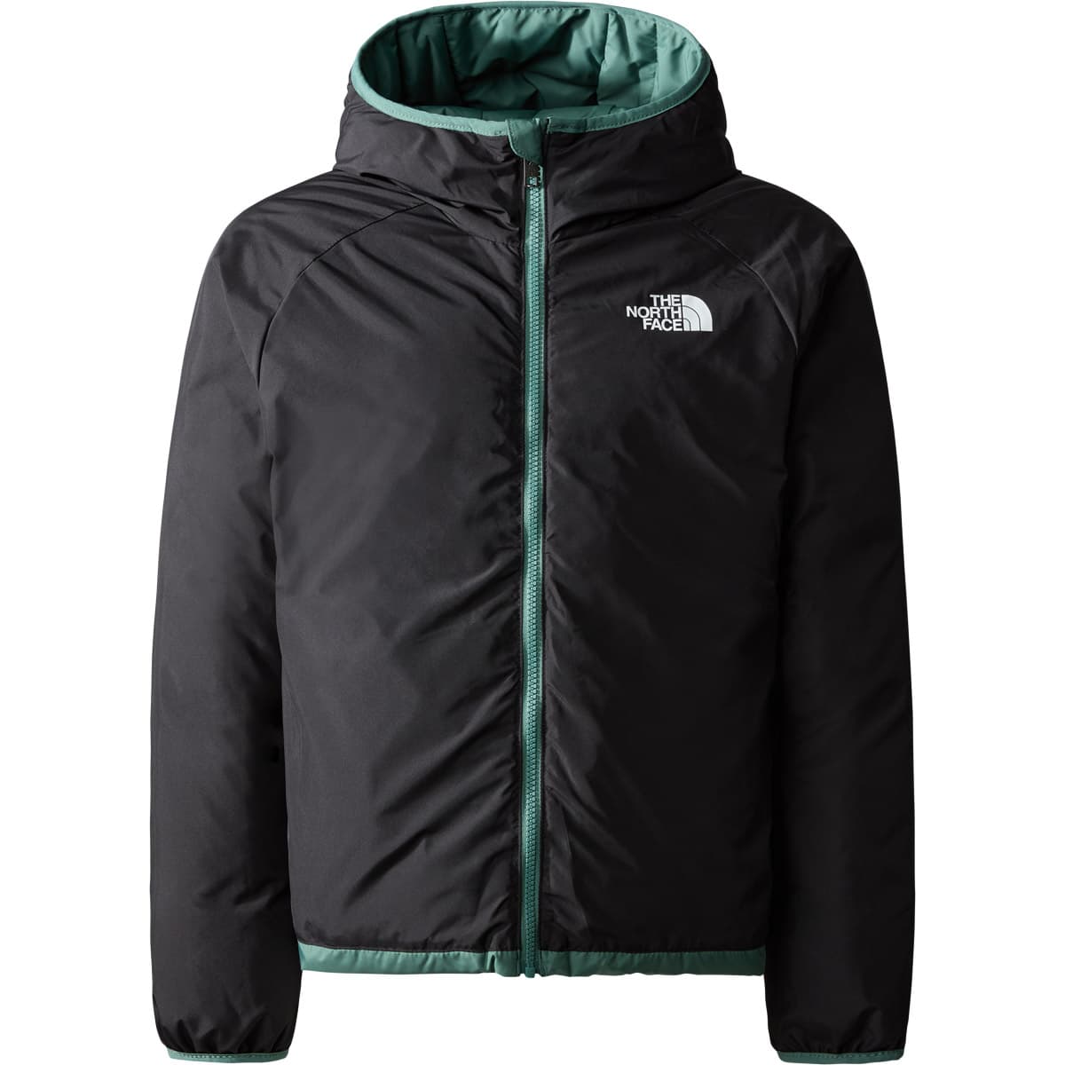 Køb The North Face Reversible North Down Dunjakke Børn Grøn / Sort