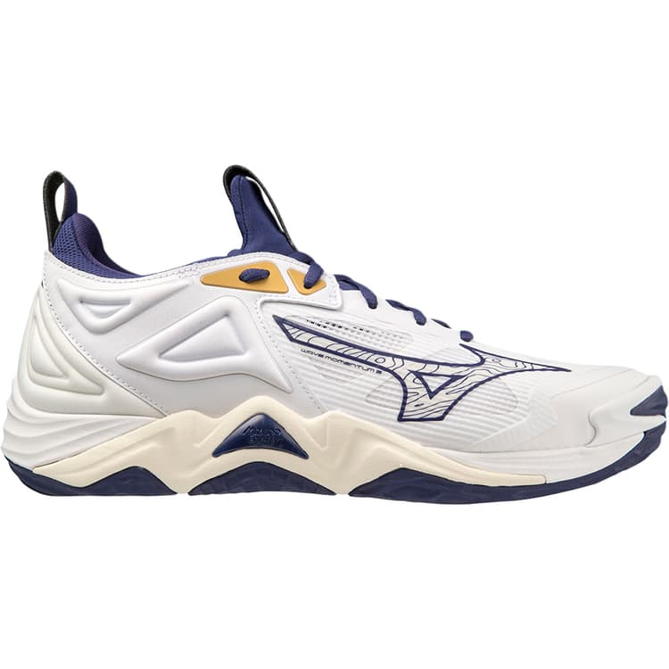 Mizuno Wave Momentum 3 Håndboldsko Herre