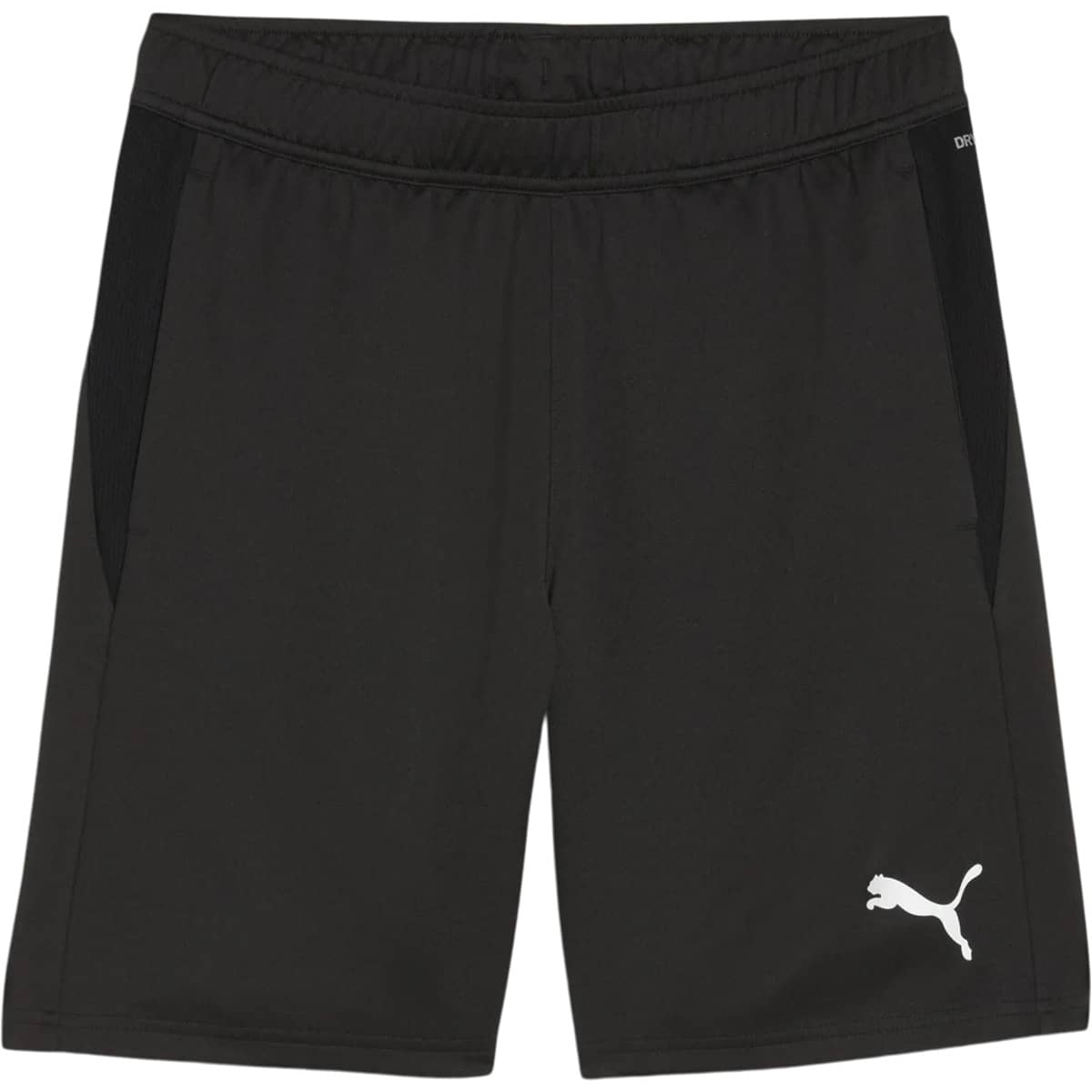 PUMA teamGOAL Træningsshorts Herre