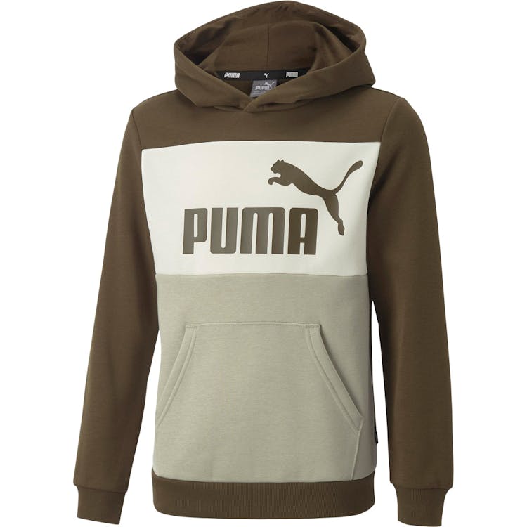 Puma Essential+ Colorblock Hættetrøje Børn