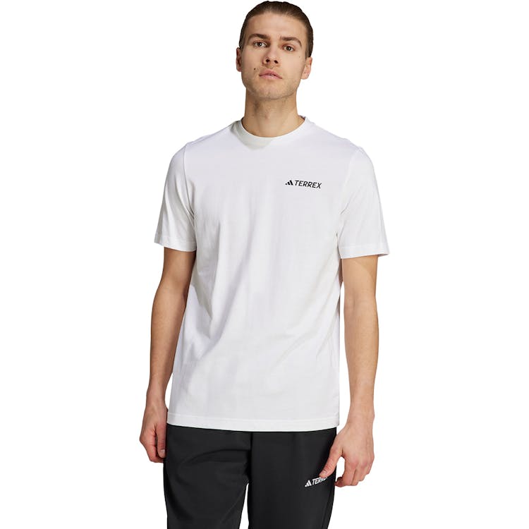 adidas Terrex Graphic Mountain 2.0 T-shirt Herre