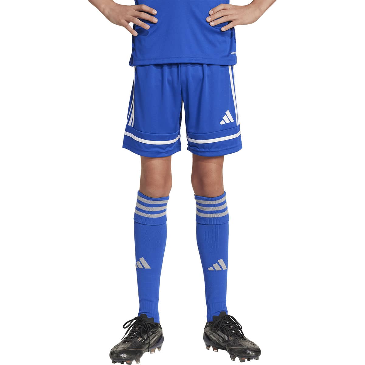 adidas Squadra 25 Træningsshorts Børn