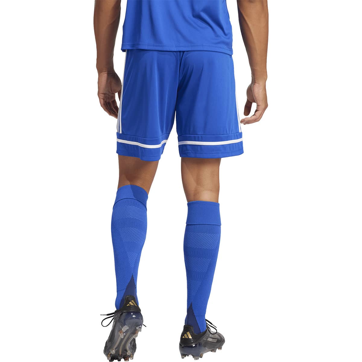 adidas Squadra 25 Træningsshorts