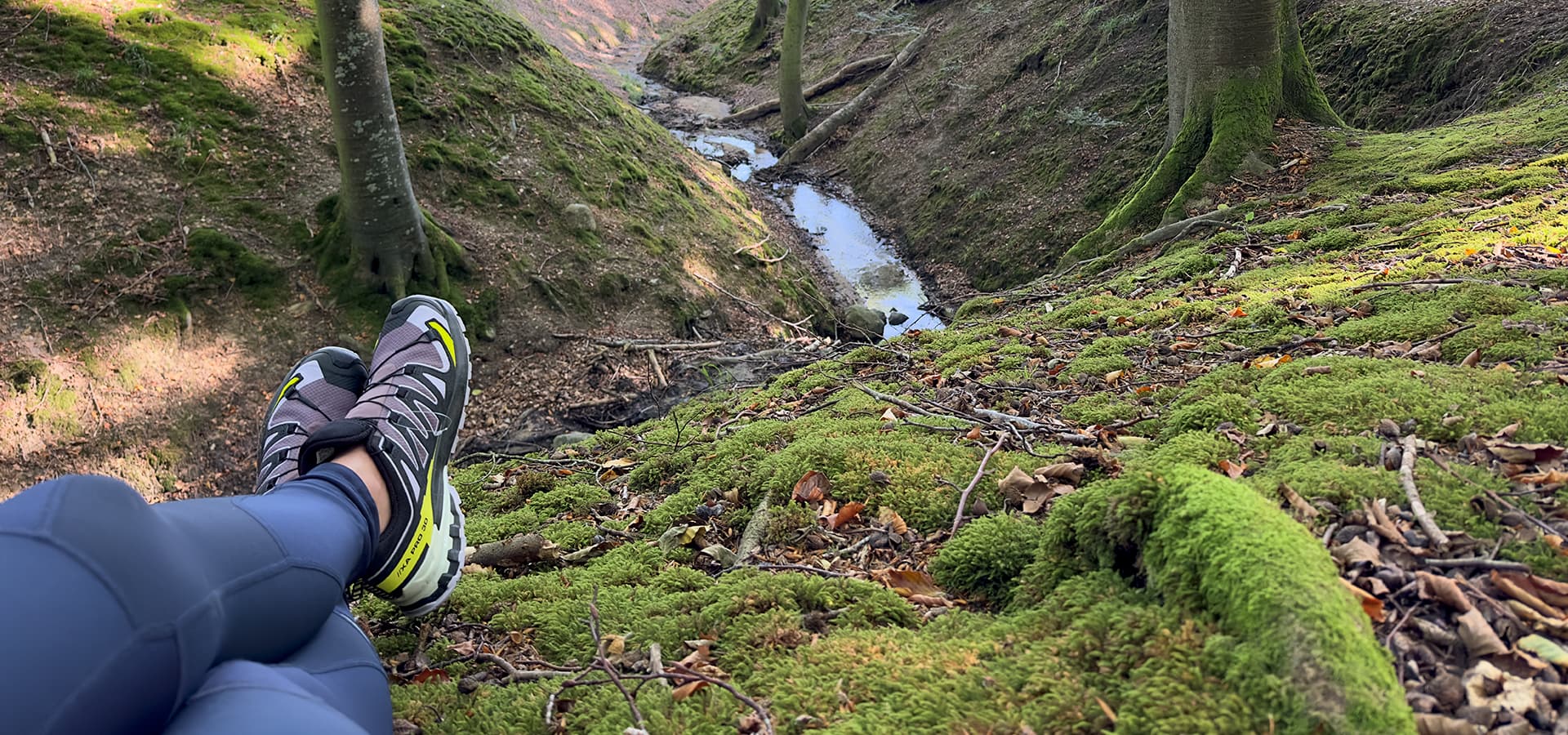 En hyggelig efterårstur ud i naturens farver